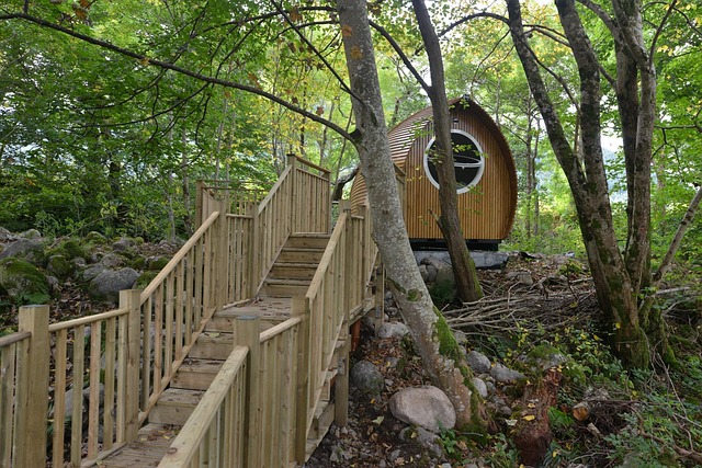 Glamping: Beleef luxe en comfort midden in de natuur